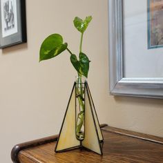 a vase with a plant in it sitting on a table