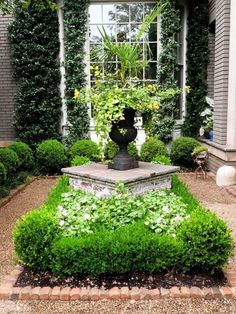 a garden with lots of green plants in front of a window and some bushes around it