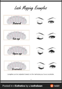 Eye Shape Chart, Eyelash Extentions, Lashes Beauty, My School, Eye Shapes