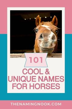 a horse with the words 101 cool and unique names for horses