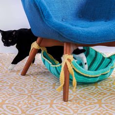 a black and white cat sitting under a blue chair