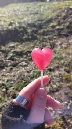 a hand holding a small heart shaped lollipop