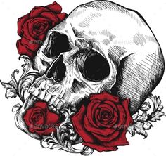 a skull with roses in the background