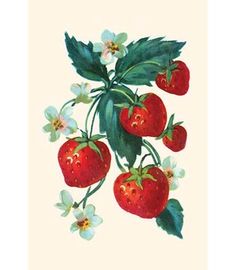 a painting of strawberries and flowers on a branch