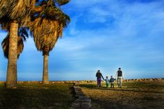 three people walking down a path with palm trees in the background and blue sky above