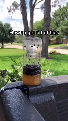 a blender filled with liquid sitting on top of a wooden table next to trees