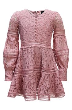 Fabric-covered buttons fall down the front of this long-sleeve party dress covered in soft lace that'll keep your kiddo looking their best. Stretch lining 45% cotton, 40% polyamide, 15% viscose Hand wash, line dry Imported Fitted Lace Dress For Dress-up In Spring, Long Sleeve Dresses With Lace Trim For Dress-up, Long Sleeve Dresses With Lace Trim For Dress-up Occasions, Long Sleeve Dresses For Fall Dress-up, Long Sleeve Lace Dress For Dress-up, Spring Long Sleeve Lace Dress With Lace Trim, Long Sleeve Lace Dress With Lace Trim For Spring, Pink Lace Trim Dress For Fall, Pink Long Sleeve Lace Dress For Summer