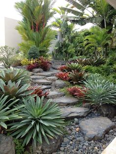 a garden filled with lots of plants and rocks