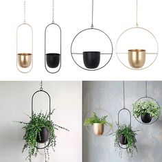 three different hanging planters with plants in them