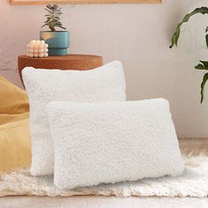 two white pillows sitting on top of a rug next to a potted plant in a corner