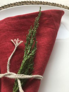 a red napkin tied up with twine and green sprigs on top of it