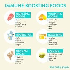 Zinc Foods, Body And Health, Stomach Bug, Immune Boosting Foods, Holistic Health Remedies, Boost Immune System, Holistic Nutrition, Delicious Chicken