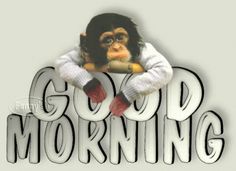 the monkey is sitting on top of the word good morning