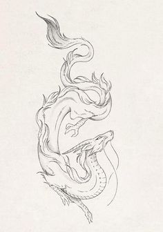 a drawing of two dragon's with their heads facing each other in different directions