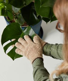 a person wearing gloves is touching a plant