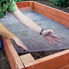 How to build the perfect raised bed Plantarea Legumelor, Building A Raised Garden, Have Inspiration, Chicken Wire, Garden Boxes, Garden Bed