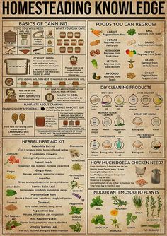 Cooking Hobby, Magia Das Ervas, Survival Life Hacks, Survival Life, Camping Ideas, Survival Tips, Survival Skills, Useful Life Hacks, Permaculture