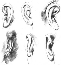 some drawings of different types of ear