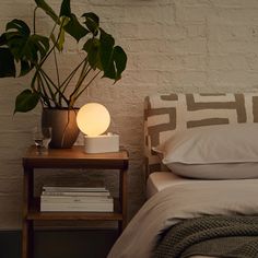 a bedroom with a bed, night stand and plant on the nightstand next to it