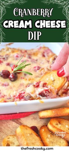 Hand dipping crostini into hot and cheesy cranberry cream cheese dip. Cranberry Cream Cheese Dip, Cranberry Dip, Cream Cheese Recipes Dip, Ms Recipes, Cheese Dip Recipe, Cream Cheese Dip, Holiday Appetizers Recipes, Cranberry Cream Cheese, Cranberry Cheese