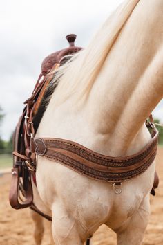 the back end of a horse's head and bridle on dirt ground