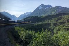 a train traveling through a lush green forest filled mountain side next to tall snow covered mountains