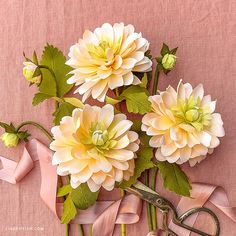 flowers are being cut with scissors on a pink cloth background, and ribbon is tied around the stems