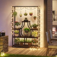 a shelf with potted plants and lights on it in front of a dining room table