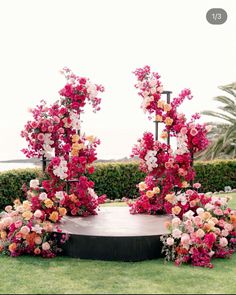 an arrangement of flowers is arranged on a circular area in the grass near some bushes