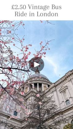 an old building with pink flowers in the foreground