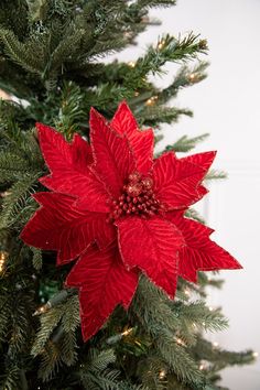 a red poinsettia sitting on top of a christmas tree