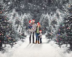 a man and woman standing in front of christmas trees with the words merry media written on them