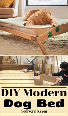 a dog laying on top of a bed with the words diy modern dog bed