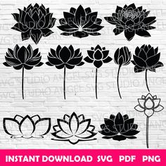 lotus flower silhouettes on a white brick wall, with the text instant background svt