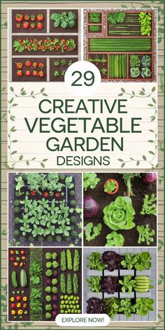 the cover of 29 creative vegetable garden designs