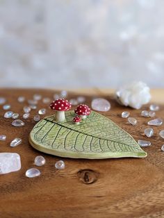 two tiny red mushrooms sitting on top of a green leaf next to crystal stones and white flowers