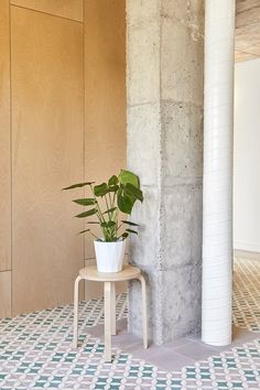 a potted plant sitting on top of a table next to a tall pillar in a room