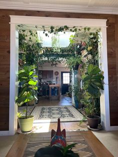 an open door leading into a living room with plants on the floor and potted plants hanging from the ceiling