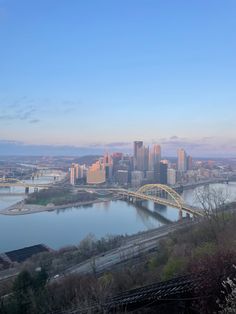 a view of a city and bridge from the top of a hill