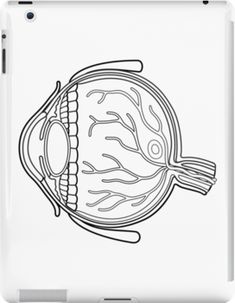 the structure of the human eye ipad case / skinplate by mark rohle