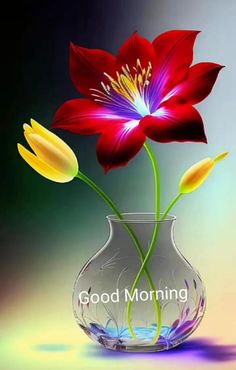 two red and yellow flowers in a glass vase with the words good morning on it