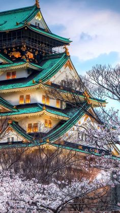 a tall white and green building with lots of windows next to trees in blooming cherry blossoms