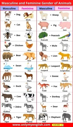 a poster with different types of animals and their names