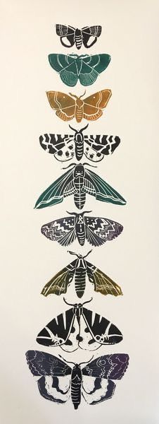 an image of moths in different colors on a white background with black and green accents