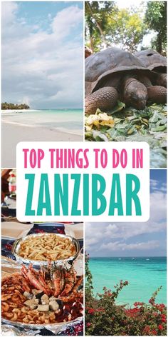 the top things to do in zanibar with pictures of food and sea animals