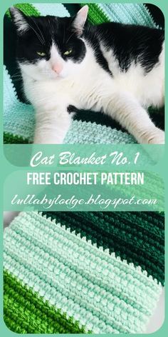 a black and white cat laying on top of a crocheted blanket with text overlay that reads, cat blanket no 1 free crochet pattern