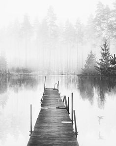 a dock in the middle of a lake surrounded by tall pine trees on a foggy day