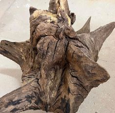 a piece of wood that has been carved to look like an animal's head