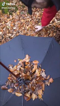 an open umbrella with fallen leaves on it and a person reaching out to grab the umbrella