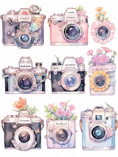 watercolor paintings of cameras with flowers on them